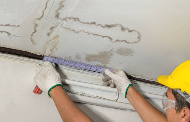 Affordable Burst Pipe Water Damage solutions in Chickasaw, OH